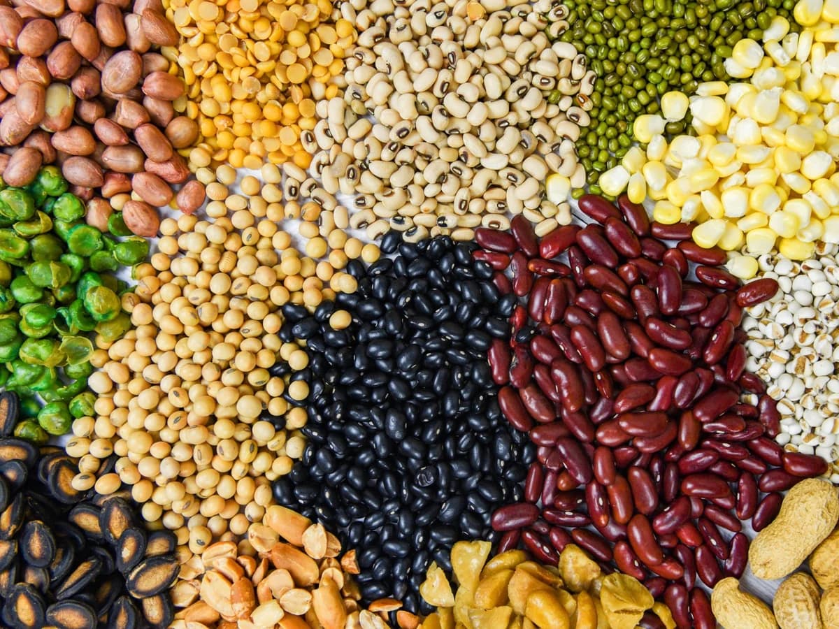 Various pulses, nuts and seeds seen from above.
